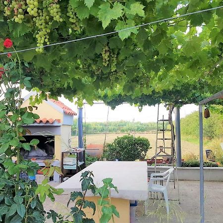 Villetta Su Barrali Орозеи Экстерьер фото